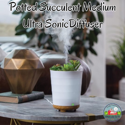 Potted Succulent Ultra Sonic Diffuser  Potted Succulent Ultra Sonic Diffuser