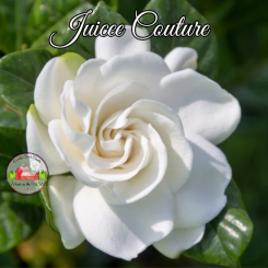 Juicee Couture 4oz Body Spray