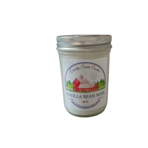 Vanilla Bean Noel 8oz candle