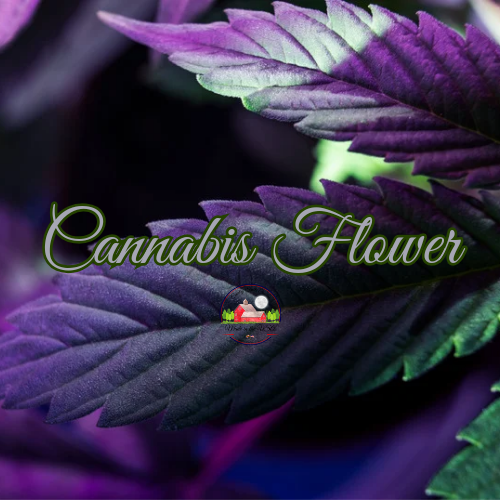 Cannabis Flower 8oz candle Cannabis Flower 8oz candle