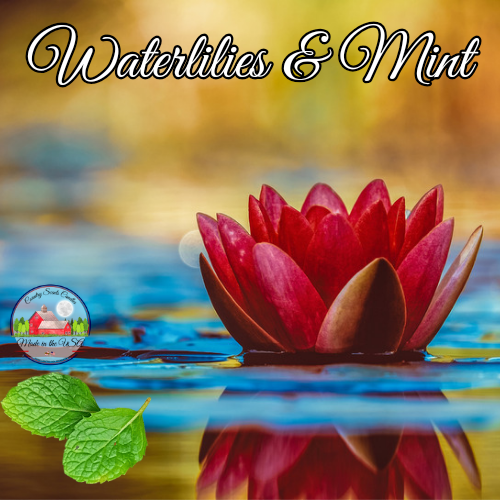 Waterlilies And Mint 8oz candle