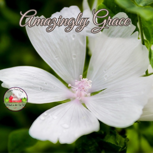 Amazingly Grace 8oz jar of aroma beads