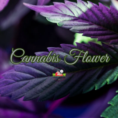 Cannabis Flower 8oz candle Cannabis Flower 8oz candle