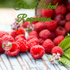 Fresh Picked Raspberries 8oz jar of aroma beads