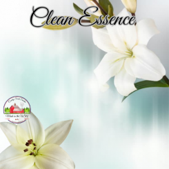 Clean Essence 8oz jar of aroma beads