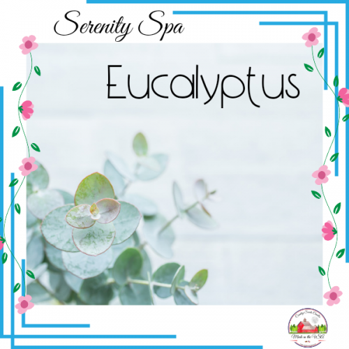 Eucalyptus 16oz candle