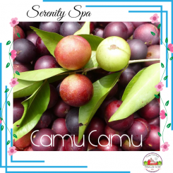 Camu Camu 16oz candle