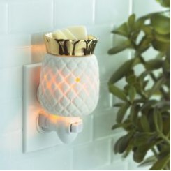 Pineapple pluggable warmer