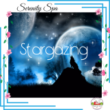 Stargazing 16oz candle