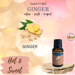 Ginger Airome Essential Oils