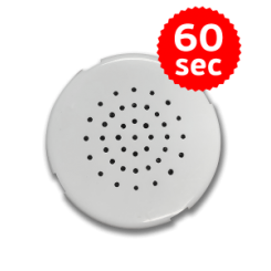 60 Second Recordable Sound Module Kountrykinz Voice Box
