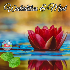 Waterlilies And Mints 8oz candle