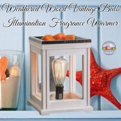 Weathered Wood Vintage Bulb Illumination Fragrance Warmer