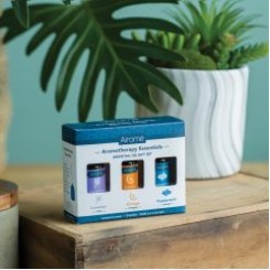 Aromatherapy Essentials Airome Gift Set