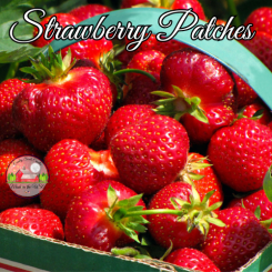 Strawberry Patches 8oz jar of aroma beads