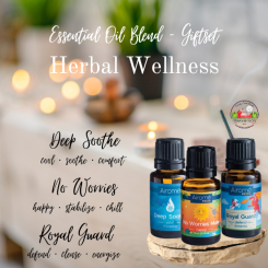 Herbal Wellness Airome Gift Set