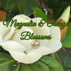 Magnolia and Orange Blossoms 8oz candle