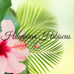 Hawaiian Hibiscus 8oz candle