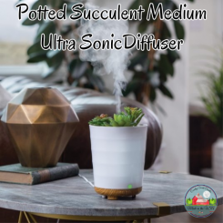 Potted Succulent Ultra Sonic Diffuser NEW