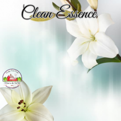 Clean Essence small melt Clean Essence small melt