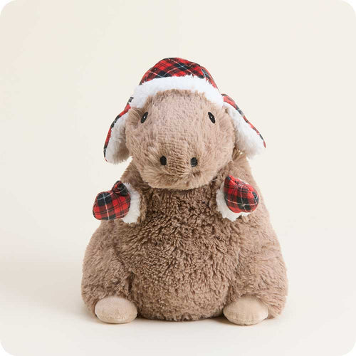 Cozy Capabara Warmies Cozy Capabara Warmies